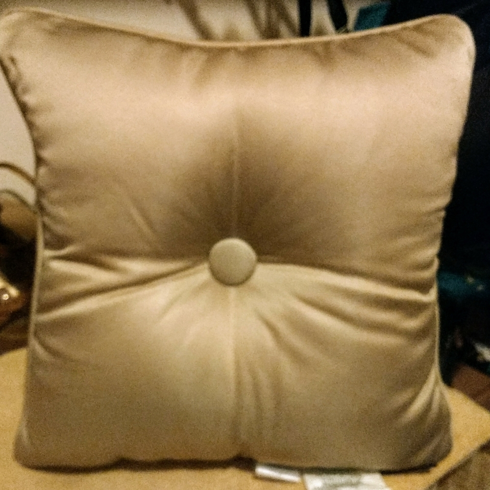 16" Square Decorative Pillow